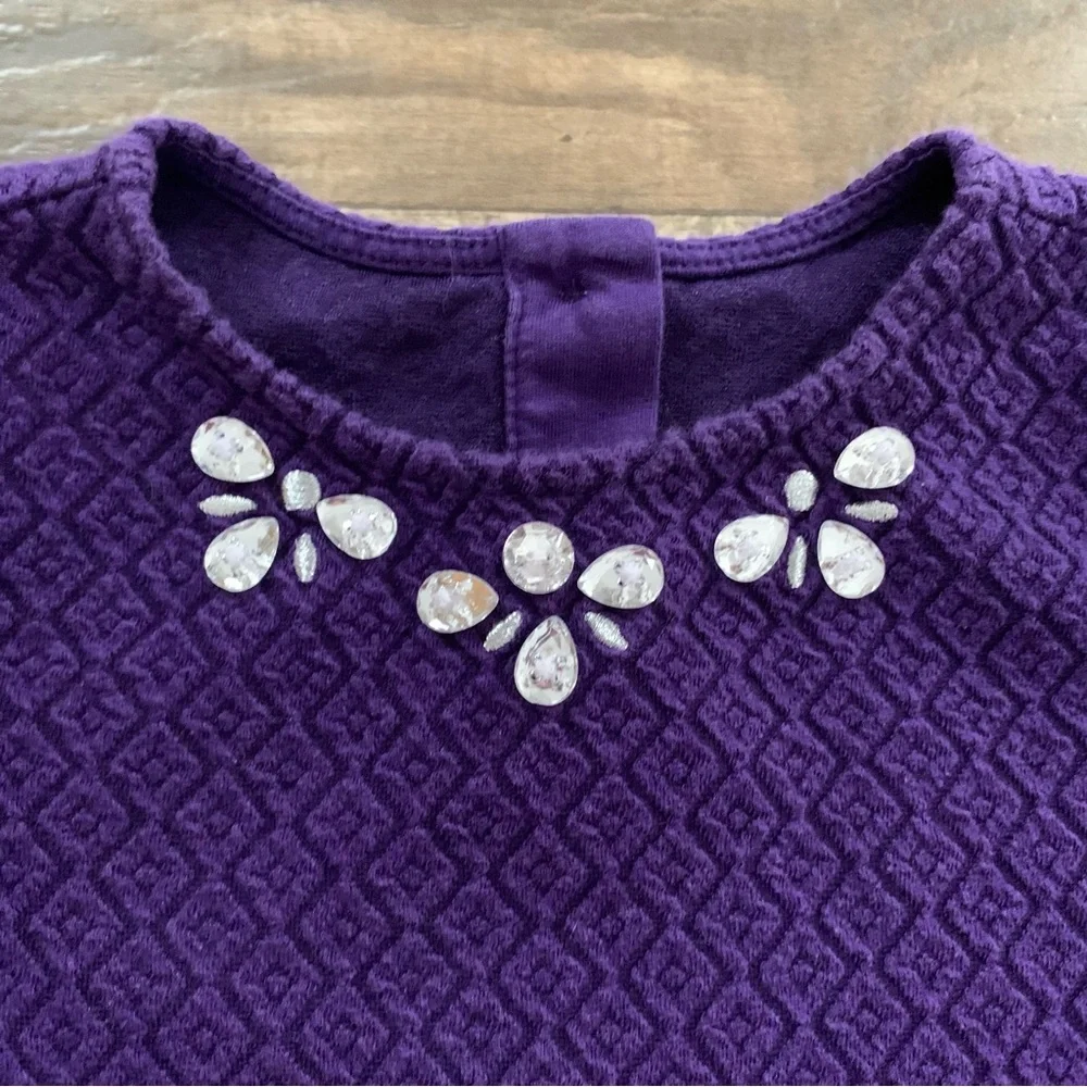 Gymboree embelished gem purple party dress